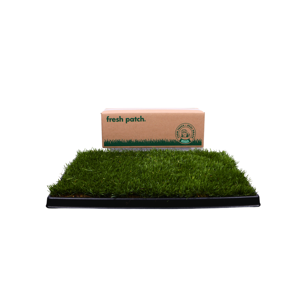 Fresh Patch Standard (Rolled)