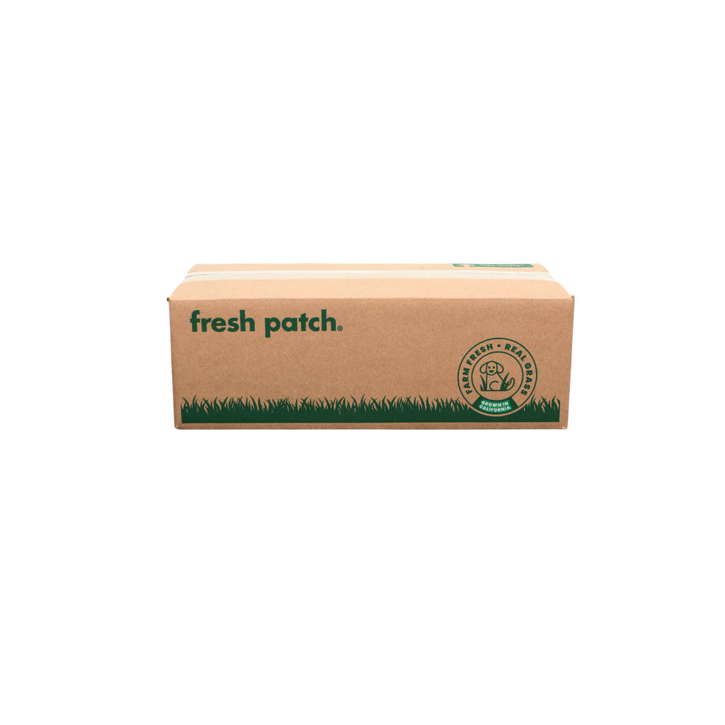 Fresh Patch Standard (Rolled)