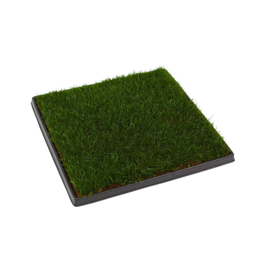 Fresh Patch Large (Rolled)