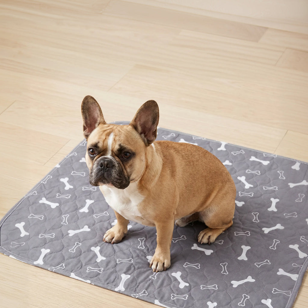 6 PUP PADS