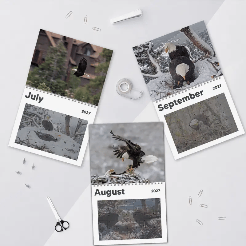 Jackie & Shadow 2027 Bald Eagle Wall Calendar
