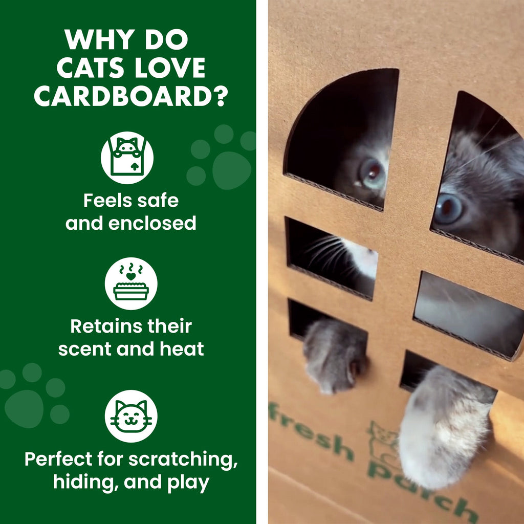 Fresh Patch Cat Condo