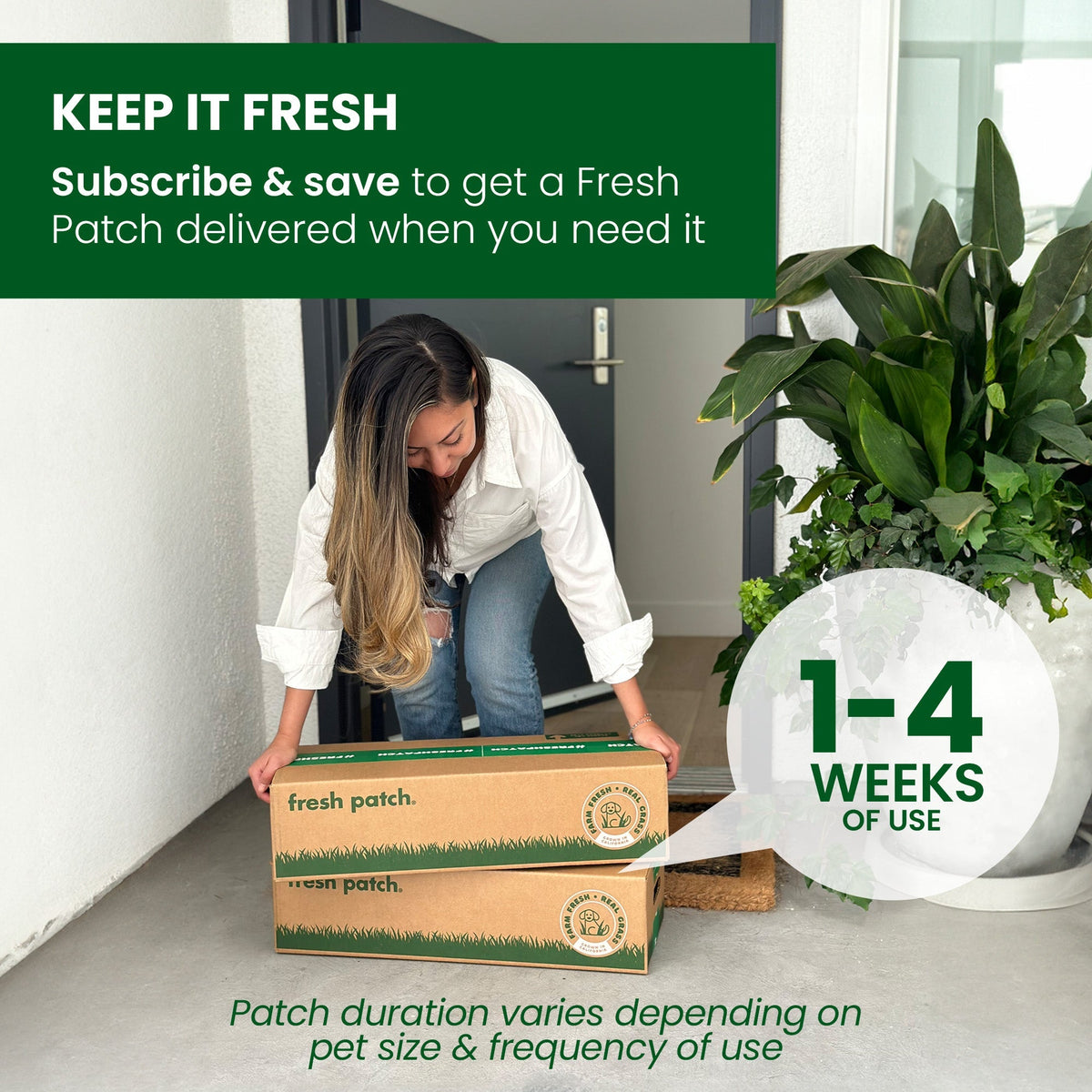 Fresh Patch Standard (Rolled)