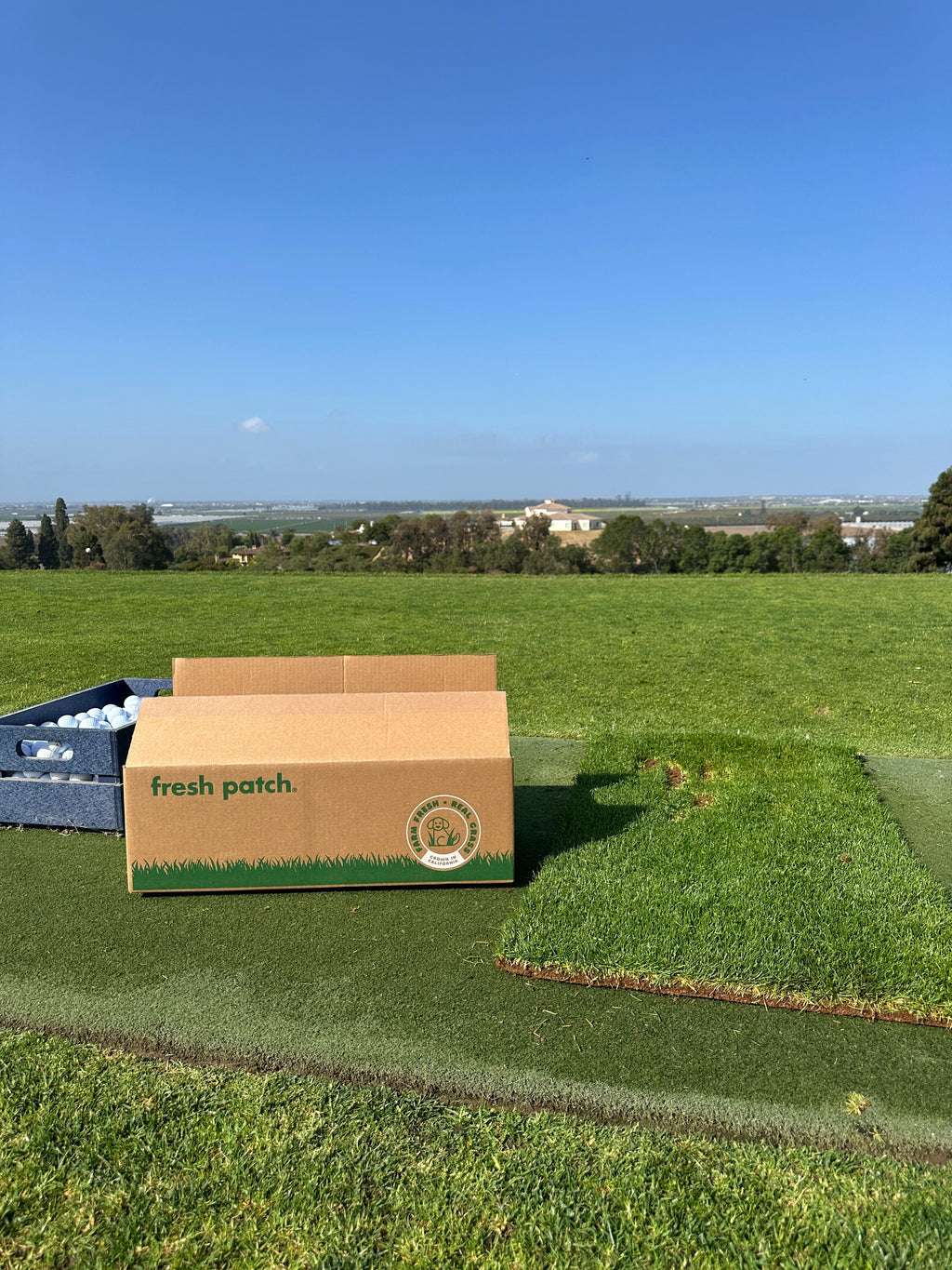 Fresh Patch Fairway