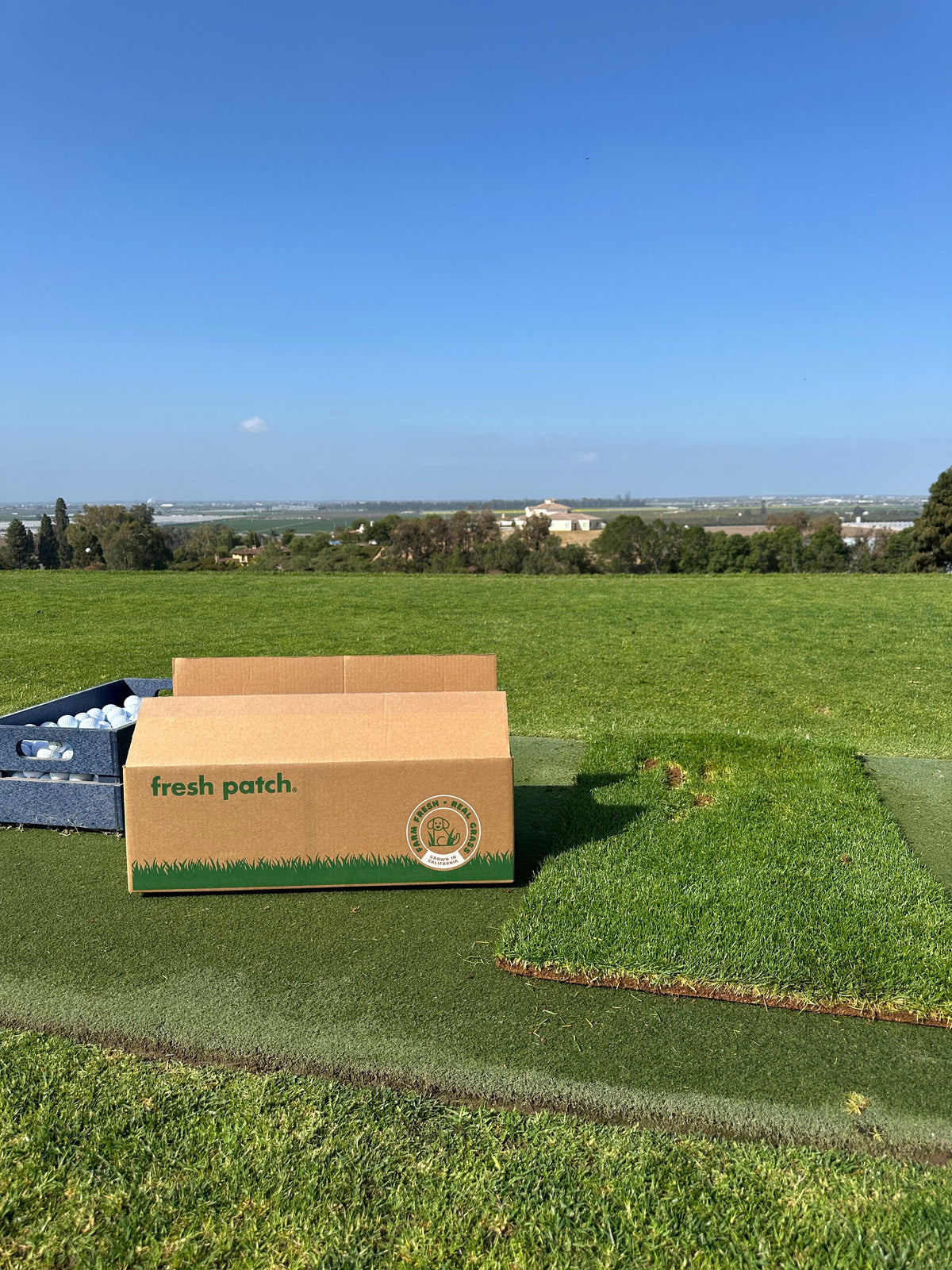Fresh Patch Fairway