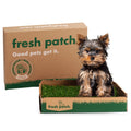 Fresh Patch (Mini)