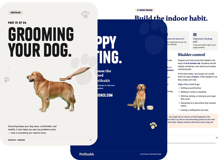 Dog Care Book (Instant Download)