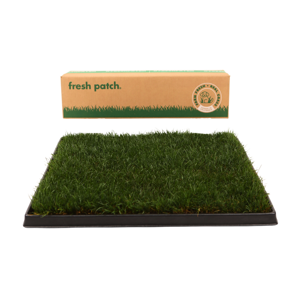 Fresh Patch Large (Rolled)