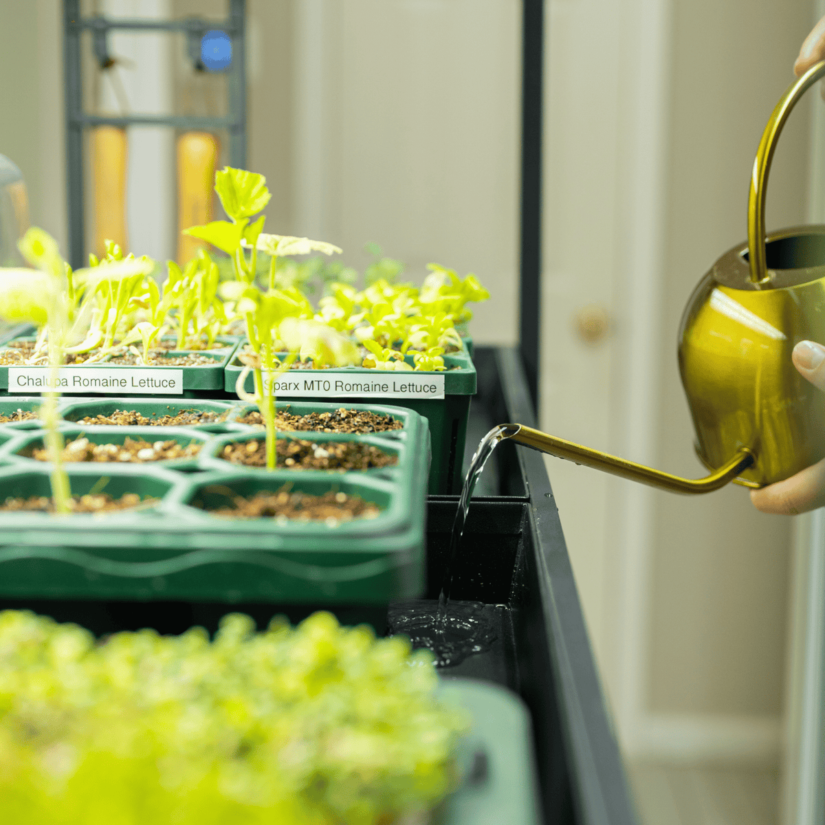 Ultimate Grow Light Garden