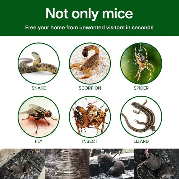 🔥HOT SALE🔥Household Mon-woven Strong Trap Sticky Mouse Blanket