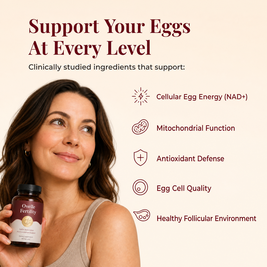 Ovelle Fertility